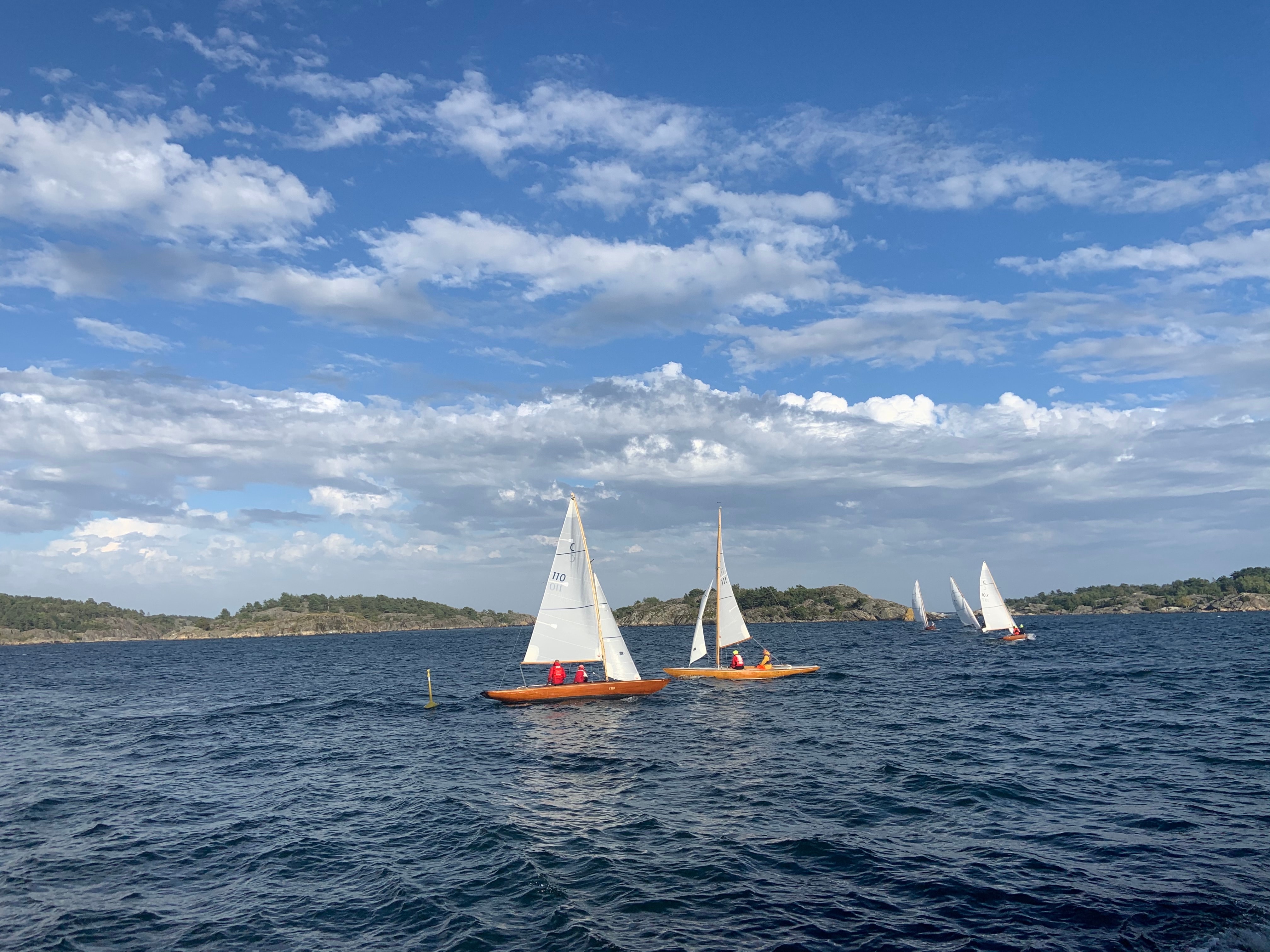 Hummeregatta